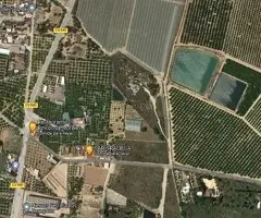 Venta parcela 11.000 m2 rustica Los Montesinos - 3