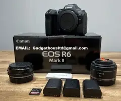 Canon EOS R3, Canon R5, Canon R6 Mark II, Canon R6, Canon EOS R7 , Nikon Z9, Nikon Z8, Nikon Z 7II - 6