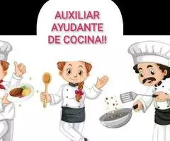 AUXILIAR AYUDANTE DE COCINA