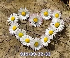 Especialistas en la Videncia del Amor 15 min 6 eur